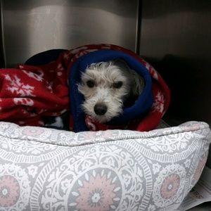 Meet your Posher, Lee